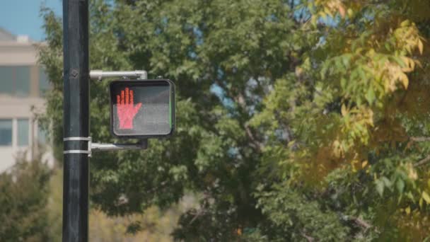 Pedestrian Light Changing Red White Allowing Cross Road — Stock Video