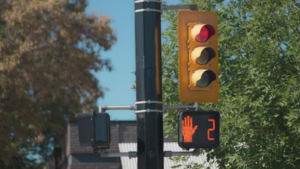 信号機は赤から緑へ横断歩道の歩行者ライトカウントダウン — ストック動画