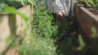 Bahçede çıplak ayakla yürüyen uzun elbiseli bir kadın. Arka plan, yavaş çekim, el kamerası, düşük açı..