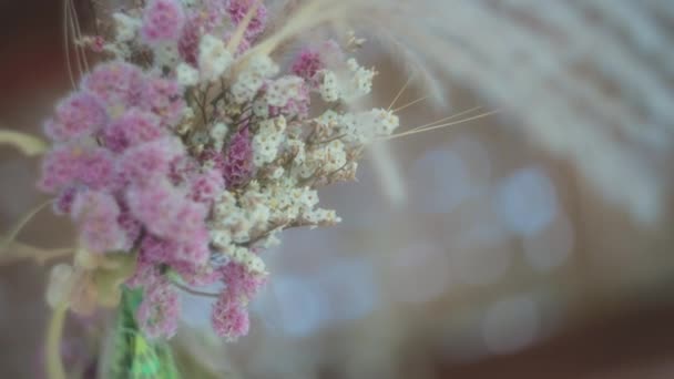美丽的粉色和白色的花朵排列在模糊的Bokeh背景上 慢动作 浅浅的场深度 玩具枪 — 图库视频影像