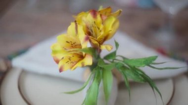 Güzel masa düzenlemesindeki sarı çiçekleri kapat. Yavaş çekim, yüzeysel alan derinliği.