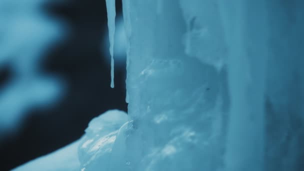 Nahaufnahme Eines Gefrorenen Eiszapfens Auf Verschwommenem Hintergrund Zeitlupe — Stockvideo