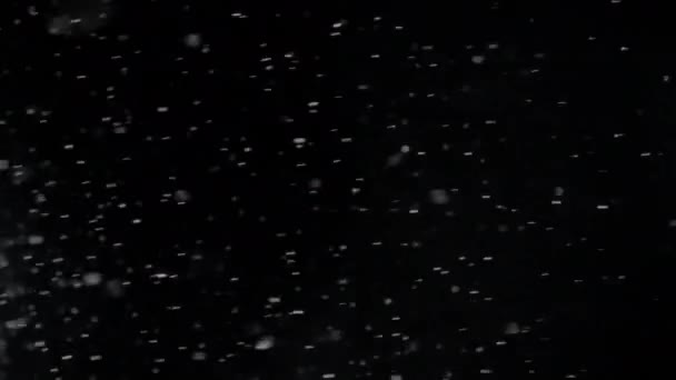 Sněhové Vločky Padající Bokem Doprava Před Černou Clonou Izolované Překrytí — Stock video