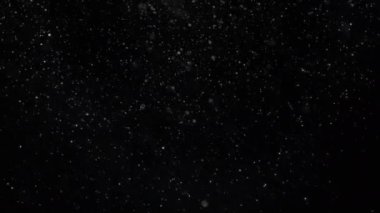 Birçok kar taneleri siyah bir ekranın önünde yavaşça sağa düşüyor. İzole kaplama.