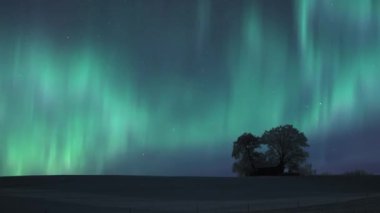 Kuzey Işıkları Aurora Borealis kışın birkaç ağaç ve ahşap bir barakanın üzerindeki tüm yıldızlı gökyüzünü kaplıyor. Zaman Süreleri. 