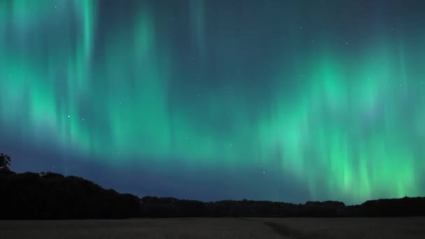 北极光的北极光覆盖着环绕在树木环绕的广阔田野之上的星空 时间流逝 — 图库视频影像