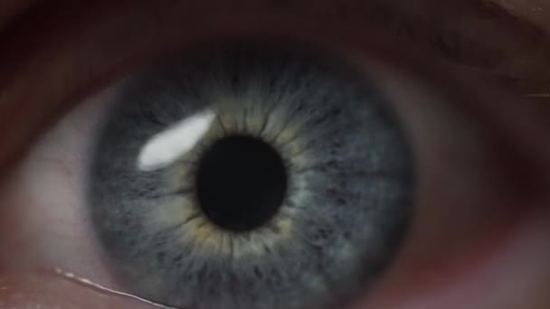 Макро Знімок Блакитного Ока Широко Повільний Рух — стокове відео