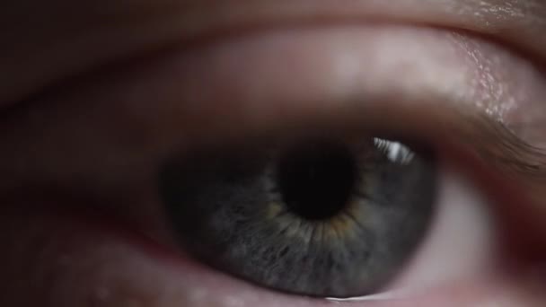 Macro Colpo Occhio Blu Che Apre Lentamente Guardando Dritto Rallentatore — Video Stock