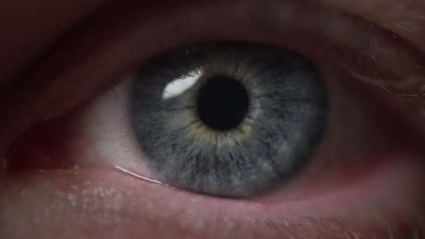 Gros Plan Une Ouverture Des Yeux Bleus Regardant Caméra Macro — Video
