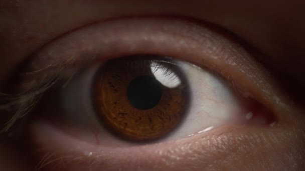 Макро Знімок Коричневого Очі Відкривається Повільно Дивиться Прямо Повільний Рух — стокове відео