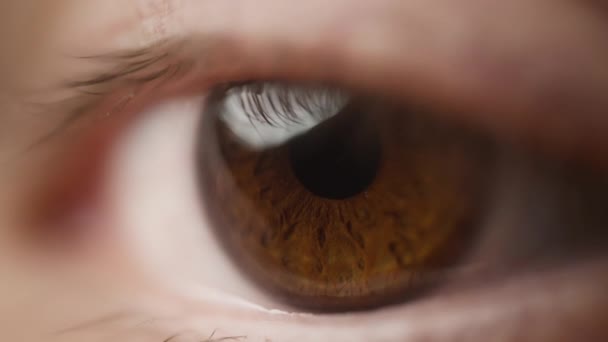 Seitenansicht Einer Braunen Augenöffnung Zeitlupe Geringe Tiefenschärfe — Stockvideo