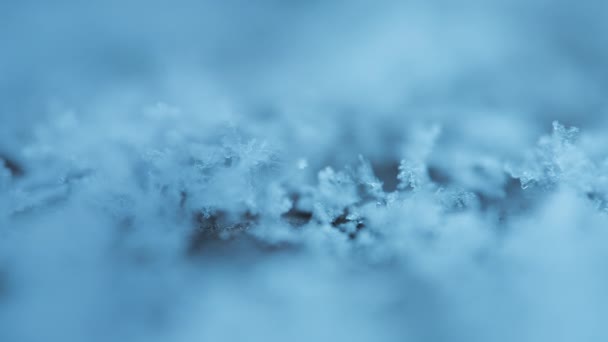 Yere Düşen Kar Tanelerinin Makro Görüntüsü — Stok video
