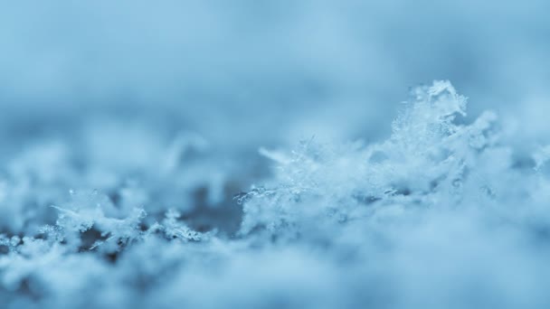 Kar Tanelerinin Eriyen Buz Kristallerinin Makro Çekimi — Stok video