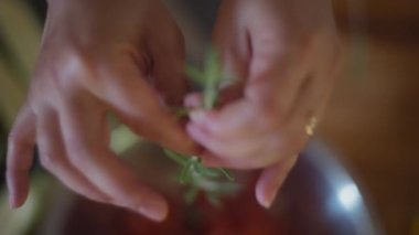 Şefin elleri biberiye sapını kabın içine soyuyordu. Yavaş çekim, yüzeysel alan derinliği. 