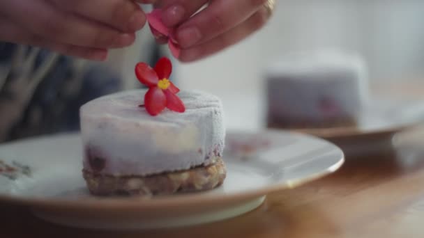 Chefs Manos Colocando Una Flor Comestible Postre Gourmet Cámara Lenta — Vídeo de stock