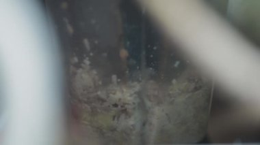 Ayçiçeği tohumları miksere karıştırılmış. Yavaş çekim, yüzeysel alan derinliği. 