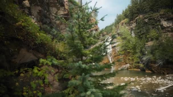 Blick Auf Die Cameron Falls Zwischen Den Felsen Waterton National — Stockvideo