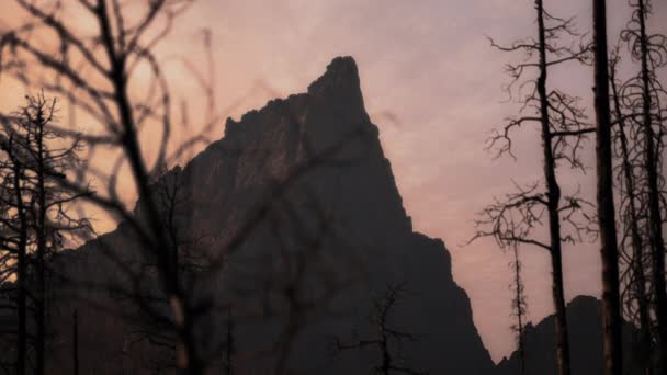日落时的岩石和被烧毁的树木的轮廓 慢动作 — 图库视频影像