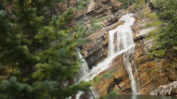 Καταρράκτης Cameron Falls Ρέει Κάτω Από Τις Πέτρες Αργή Κίνηση — Αρχείο Βίντεο