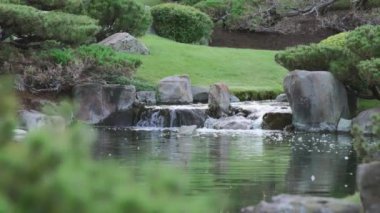 Japon bahçelerindeki kayaların arasında küçük bir şelale. Yavaş çekim. 