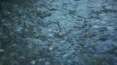 Küçük derede akan su. Yavaş çekim. 