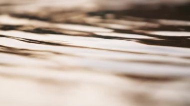 Gün batımında dalgalı su yüzeyini kapatın. Yavaş çekim. 