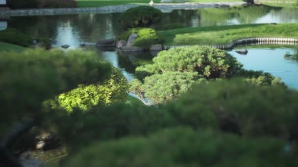 Традиционный Ландшафтный Дизайн Японских Садах Медленное Движение — стоковое видео