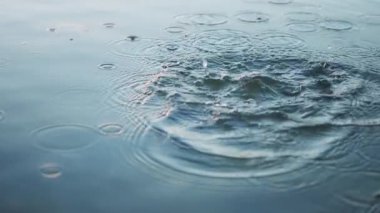 Göl suyuna düşen kayalar yüzeyde dalgalanmalar yaratır. Yavaş çekim. 