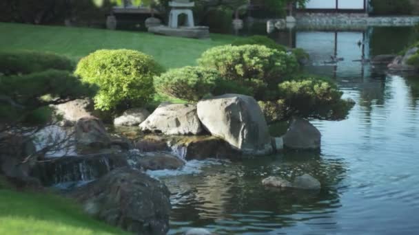 Традиційний Ландшафтний Дизайн Японських Садах Повільний Рух — стокове відео
