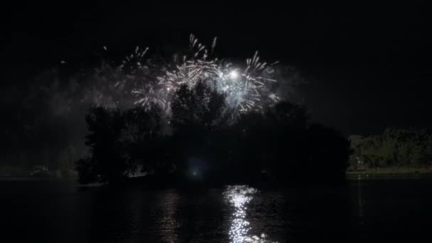 Fogos Artifício Mostram Acima Lago Das Árvores Movimento Lento — Vídeo de Stock