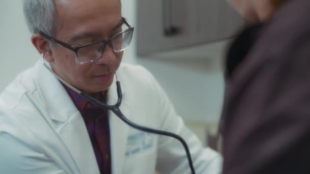 Veterinären Lyssnar Husdjurens Hjärta Med Ett Stetoskop Kliniken Långsamma Rörelser — Stockvideo