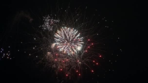 Fogos Artifício Festivos Mostram Céu Noturno — Vídeo de Stock