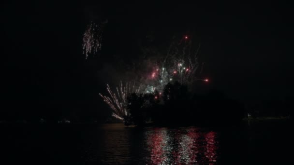 Colorful Fireworks Trees Reflecting Lake Water Slow Motion — Stock Video