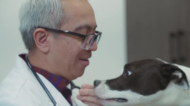 Ветеринар Дает Собаке Угощения Время Осмотра Клинике Медленное Движение — стоковое видео