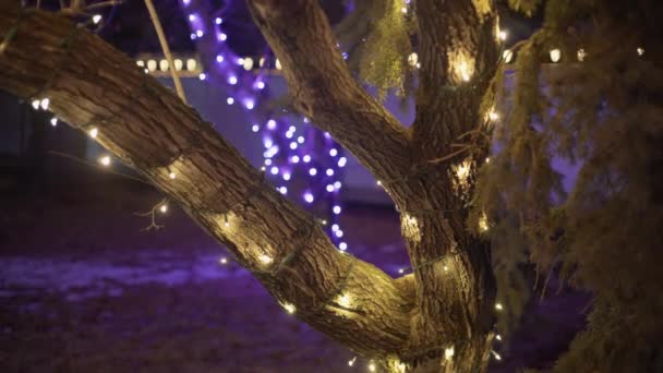 Κίτρινη Χριστουγεννιάτικη Γιρλάντα Κορμό Δέντρου Νύχτα Αργή Κίνηση — Αρχείο Βίντεο