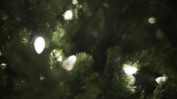 Λευκά Φώτα Γιρλάντα Ένα Χριστουγεννιάτικο Δέντρο Κάτω Από Χιόνι Αργή — Αρχείο Βίντεο