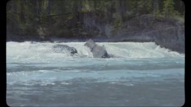 Dağ nehri Kanada Rocky Dağları 'ndan akıyor. Klasik Film Görünümü.