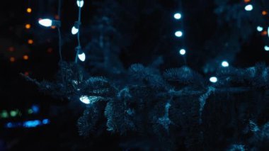 Karlı çam ağacı dalları renkli çelenk ışıklarıyla aydınlatılıyor. Noel sezonu. Yavaş çekim. 