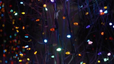 Geceleri parktaki ağaç dallarına asılı renkli çelenk ışıkları. Yavaş çekim. 