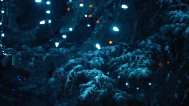 Снежные Сосновые Ветви Освещаются Яркими Гирляндскими Огнями Рождественский Сезон Медленное — стоковое видео