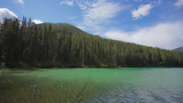 Время Изумрудного Цвета Оливковое Озеро Национальном Парке Кутенэй Канада — стоковое видео