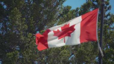 Ağaçlara ve uçan parçacıklara karşı dalgalanan Kanada bayrağı. Yavaş çekim. 