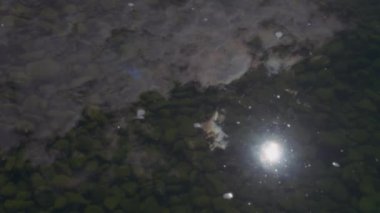 Güneş ve bulutlar su yüzeyine yansıyor. Yavaş çekim. 