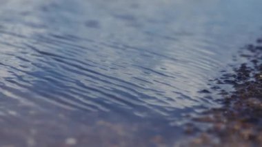 Kıyının yanındaki su yüzeyi. Su dokusunun arka planı. Yavaş çekim. 