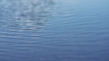 Mavi su yüzeyi rüzgardan dalgalanmalar yaratır. Ağır çekim. Su dokusunun arkaplanı.