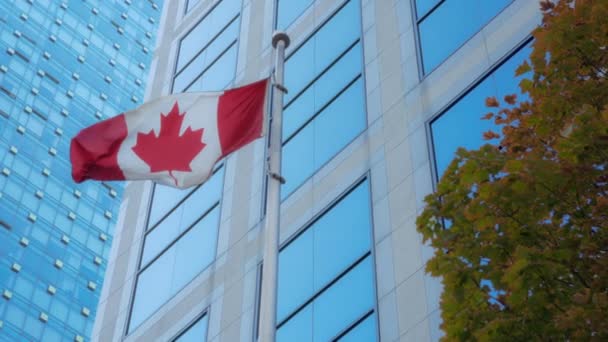 Kanadas Flagga Viftar Framför Kontorsbyggnad Centrala Vancouver Långsamma Rörelser — Stockvideo