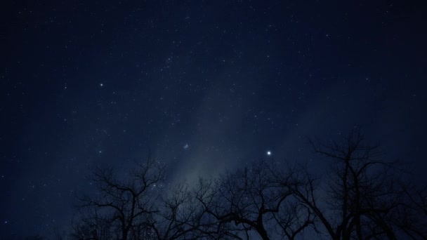Ночной Хронометраж Звездного Неба Движущимися Облаками Безлистными Деревьями Переднем Плане — стоковое видео