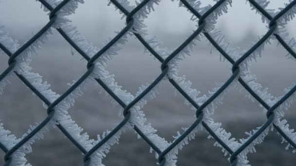 Μεταλλικός Φράχτης Καλυμμένος Πρωί Από Παγετό Χειμώνα Κλείσε Αργή Κίνηση — Αρχείο Βίντεο