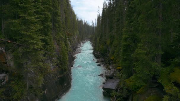 Natursköna Landskap Utsikt Över Kootenay River Kanadensiska Klippiga Bergen Långsamma — Stockvideo