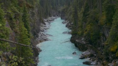 Rocky Dağları 'ndan akan güçlü turkuaz Kootenay Nehri. Yavaş çekim.